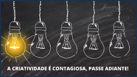 Florescer - Vídeo do dia 17/11
