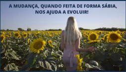 Florescer - Vídeo do dia 23/11